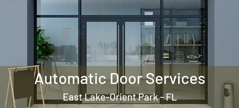  Automatic Door Services East Lake-Orient Park - FL