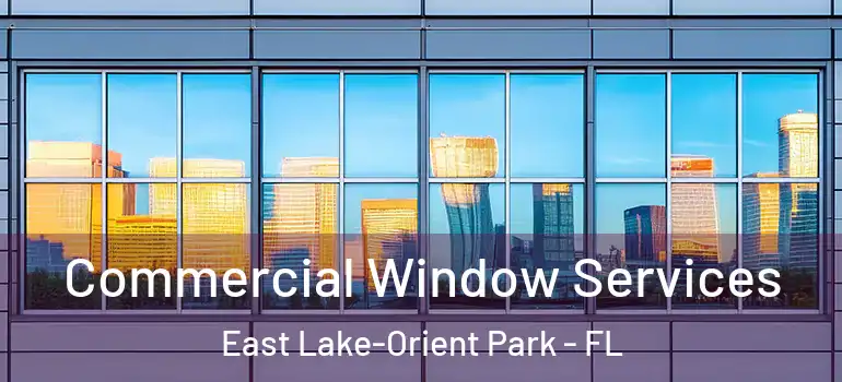 Commercial Window Services East Lake-Orient Park - FL