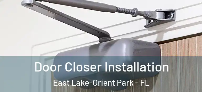 Door Closer Installation East Lake-Orient Park - FL