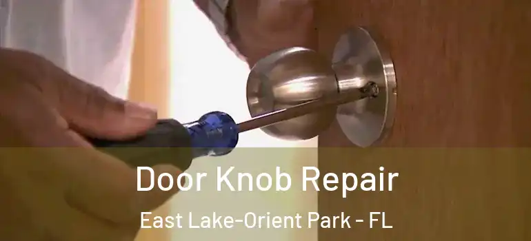  Door Knob Repair East Lake-Orient Park - FL