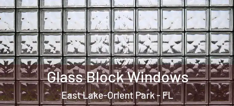  Glass Block Windows East Lake-Orient Park - FL