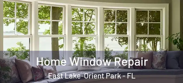 Home Window Repair East Lake-Orient Park - FL