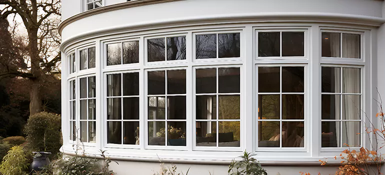 Home Window Pane Replacement in East Lake-Orient Park, FL