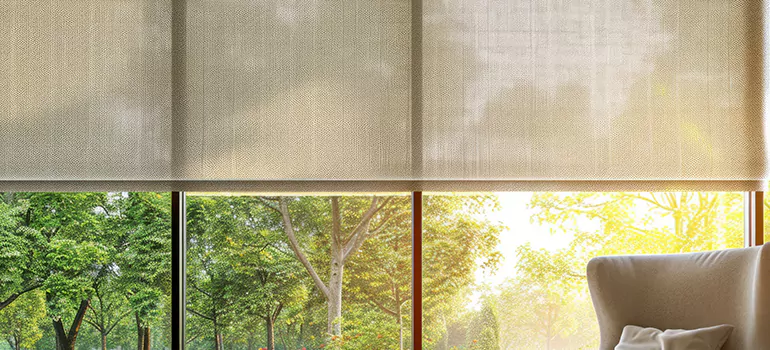 Custom Window Shades in East Lake-Orient Park, FL