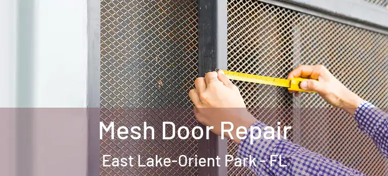 Mesh Door Repair East Lake-Orient Park - FL