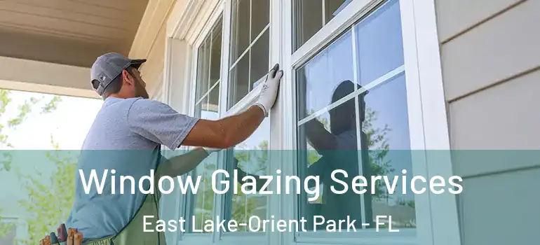 Window Glazing Services East Lake-Orient Park - FL