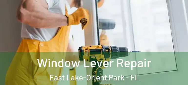 Window Lever Repair East Lake-Orient Park - FL